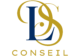 logo dsl conseil dsl logo white modifié