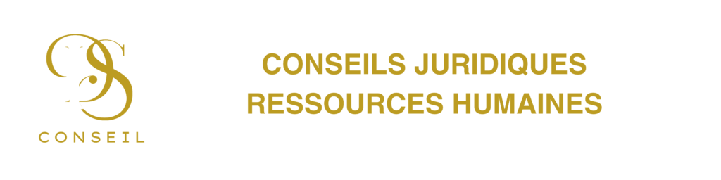 dsl logo large transparent